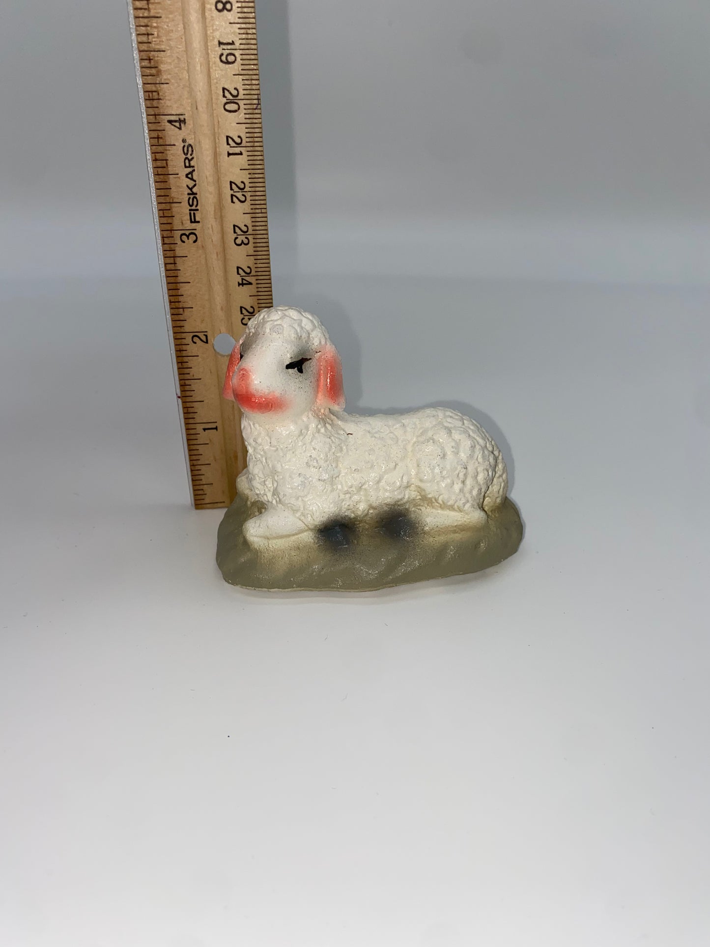 Borrego mediano para Nacimiento