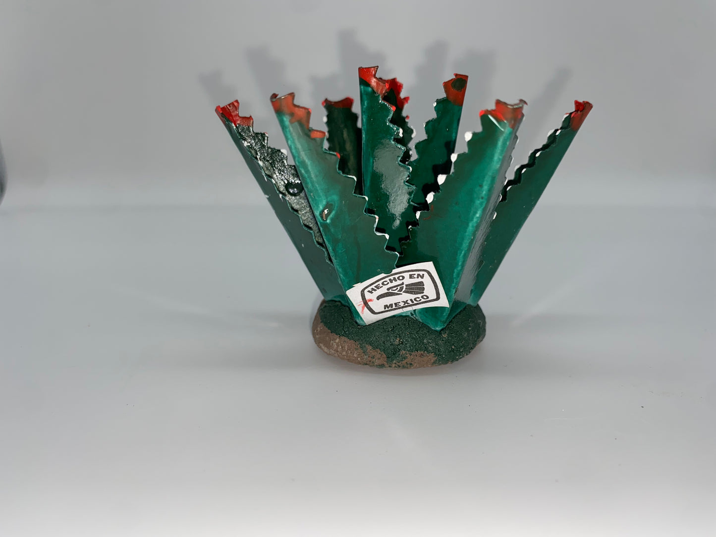 Maguey para Nacimiento