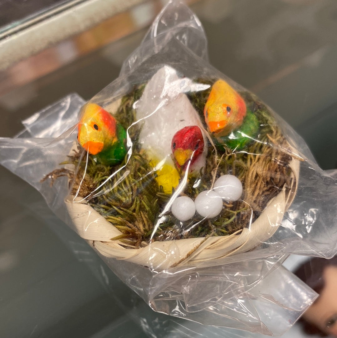 Nido de Gallina con Pollitos