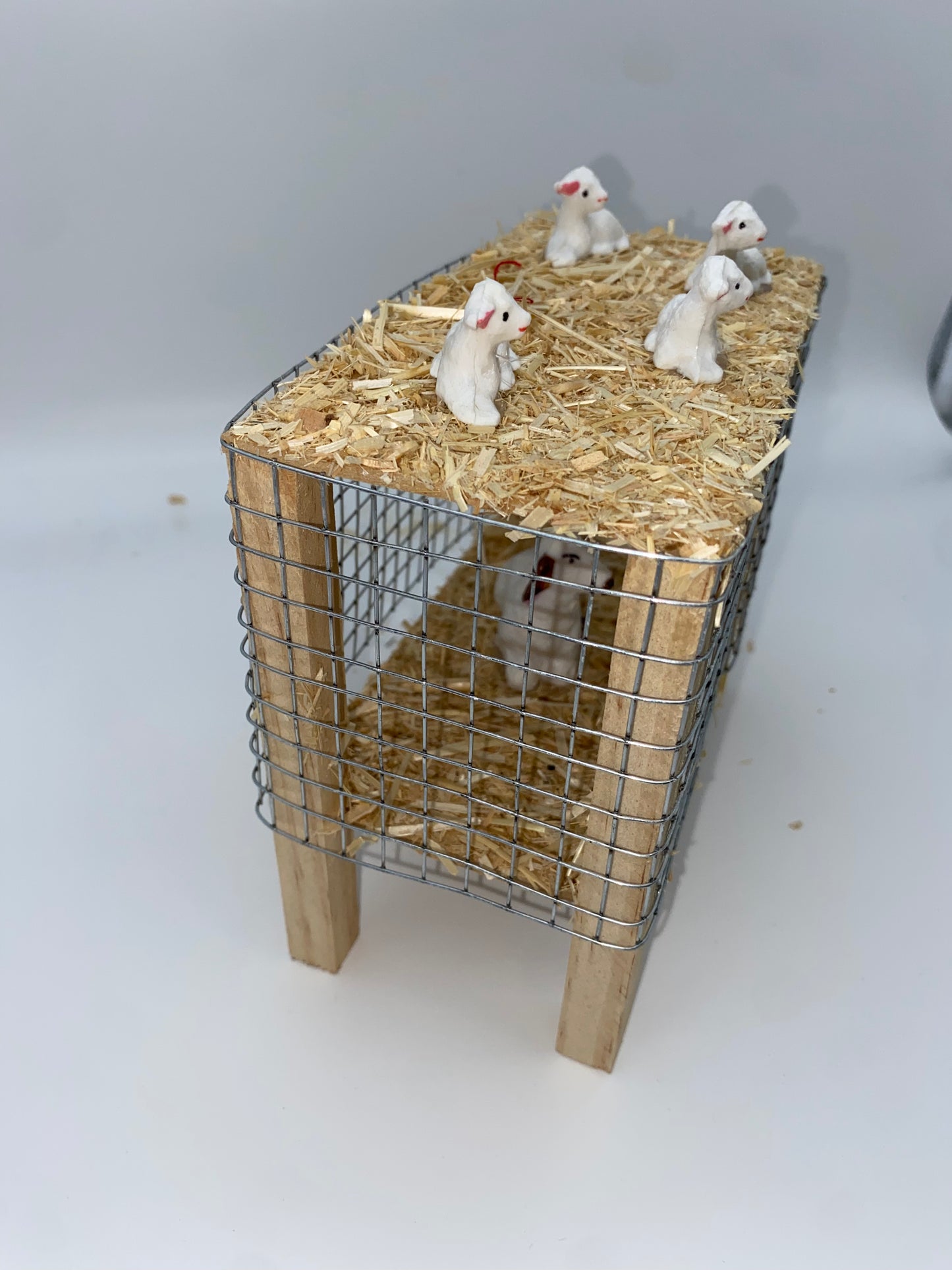 Jaula para animalitos