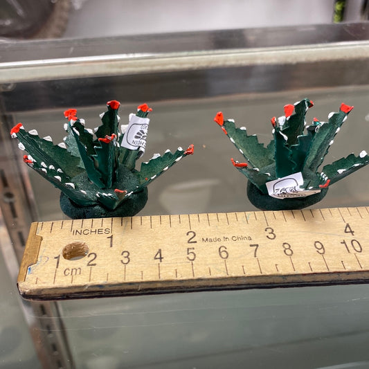 Maguey mini para Nacimiento