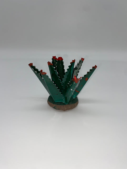 Maguey para Nacimiento